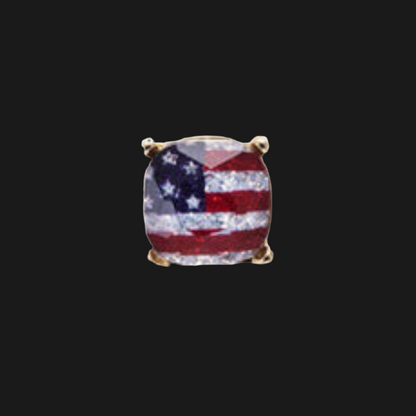American Flag  Stud Earrings  ~ Silver