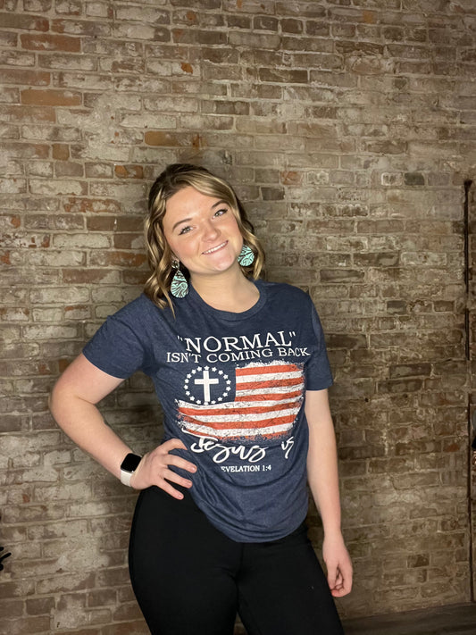 Normal Isn't Coming Back T-Shirt ~ Navy